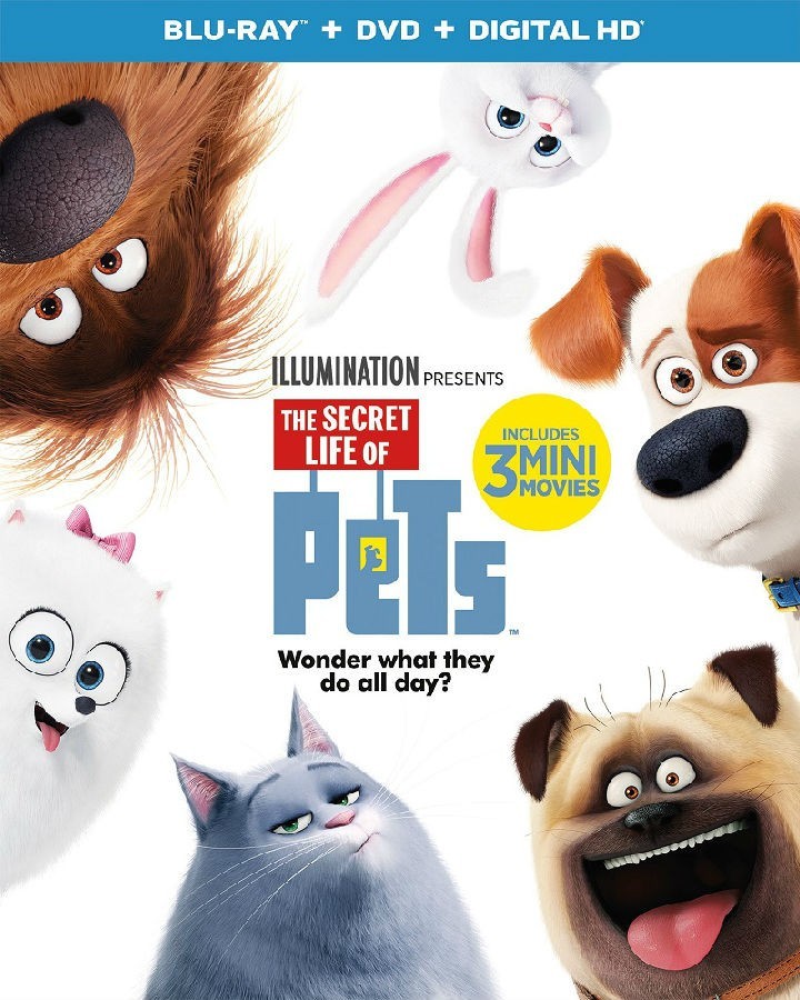 爱宠大机密 The Secret Life of Pets 【2016】【喜剧 / 动画】【美国】