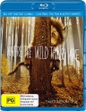 野兽家园 Where the Wild Things Are 【2009】【剧情 / 家庭 / 奇幻 / 冒险】【美国 / 德国 / 澳大利亚】