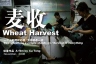 麦收 【2008】【 纪录片】【中国大陆】