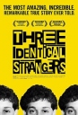 孪生陌生人 Three Identical Strangers 【蓝光1080p内嵌中英字幕】【2018】【纪录片】【英国】
