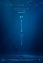 深水区 12 Feet Deep 【WEB-DL720p/1080p中英字幕】【2017】【惊悚】【美国】