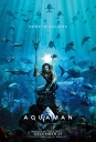 海王 Aquaman 【韩版HDRip720p/1080p内嵌中文字幕】【2018】【动作/奇幻/冒险】【美国/澳大利亚】