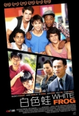 白蛙