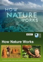BBC：自然的运作 How Nature Works 【2013】【纪录片】【英国 / 美国】